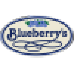 Blueberry's Cafe